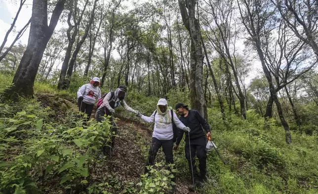 Members of the search collective "Uniendo Esperanzas" or Uniting Hope, leave the forest after searching for human remains in the State of Mexico, Mexico, Friday, Aug. 16, 2024. (AP Photo/Ginnette Riquelme)