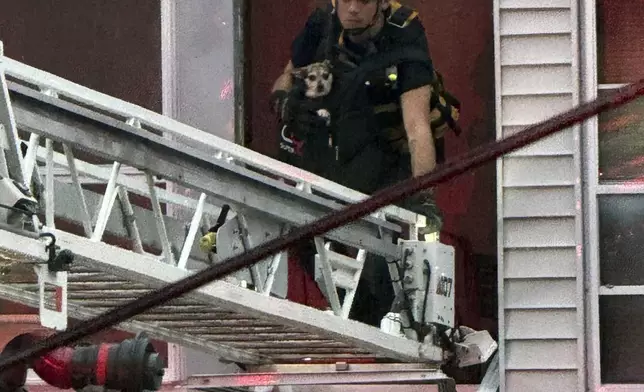 This photo provided by Beacon Hose Co. No. 1, a fire station in Beacon Falls, Connecticut, shows members of Beacon Hose rescuing a dog from the Brookside Inn in Oxford, Conn., Sunday, Aug. 18, 2024. (Beacon Hose Co via AP)8