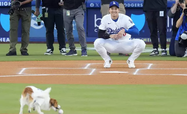 Los Angeles Dodgers' Shohei Ohtani waits for his dog Decoy as Decoy delivers the ceremonial first pitch prior to a baseball game between the Dodgers and the Baltimore Orioles Thursday, Aug. 29, 2024, in Los Angeles. (AP Photo/Mark J. Terrill)