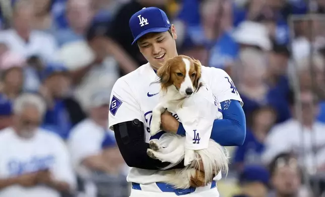 Los Angeles Dodgers' Shohei Ohtani brings his dog Decoy to mound before Decoy delivered the ceremonial first pitch prior to a baseball game between the Dodgers and the Baltimore Orioles Thursday, Aug. 29, 2024, in Los Angeles. (AP Photo/Mark J. Terrill)