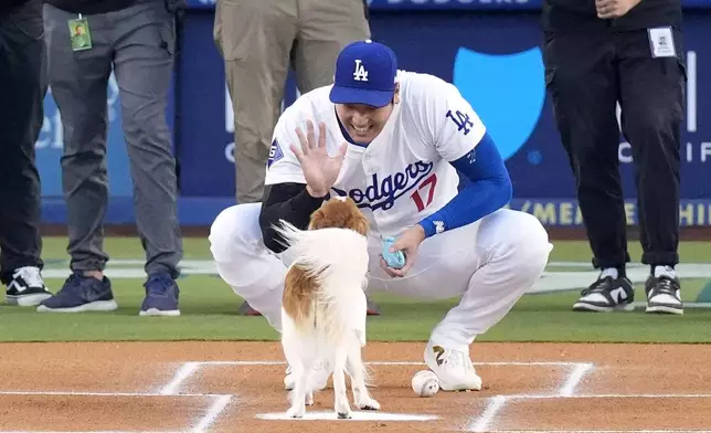 Los Angeles Dodgers' Shohei Ohtani congratulates his dog Decoy after Decoy delivered the ceremonial first pitch prior to a baseball game between the Dodgers and the Baltimore Orioles Thursday, Aug. 29, 2024, in Los Angeles. (AP Photo/Mark J. Terrill)