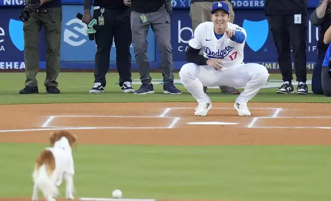 Los Angeles Dodgers' Shohei Ohtani summons his dog Decoy to deliver the ceremonial first pitch prior to a baseball game between the Dodgers and the Baltimore Orioles Thursday, Aug. 29, 2024, in Los Angeles. (AP Photo/Mark J. Terrill)