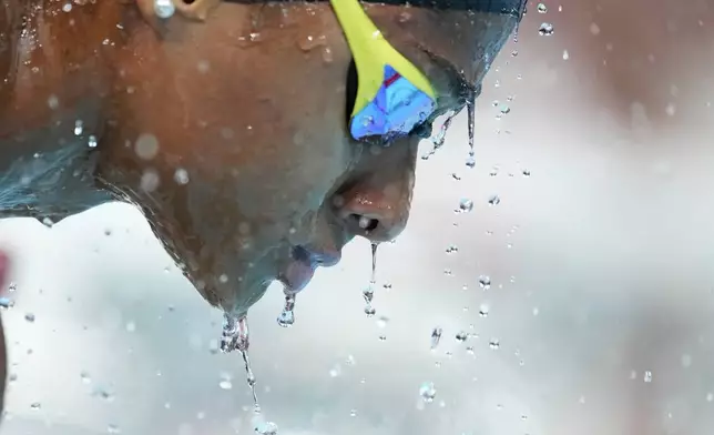 Italy's Sara Curtis competes splashes before a women's 50-meter freestyle semifinal at the Summer Olympics in Nanterre, France, Saturday, Aug. 3, 2024. (AP Photo/Natacha Pisarenko)