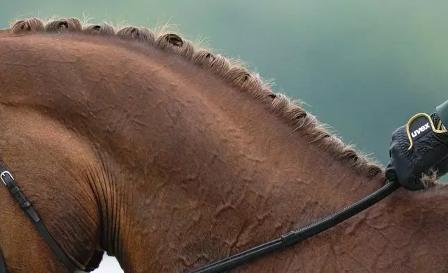 Brazil's Carlos Parros and his horse Safira during the Equestrian Eventing Dressage competition, at the 2024 Summer Olympics, Saturday, July 27, 2024, in Versailles, France. (AP Photo/Mosa'ab Elshamy)