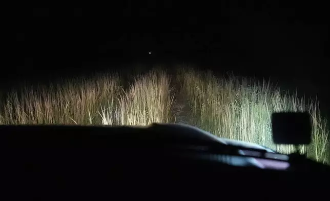 Thomas Aycock, a contractor with the Florida Fish and Wildlife Conservation Commission, drives along a levy searching for invasive Burmese pythons, Tuesday, Aug. 13, 2024, in the Florida Everglades. (AP Photo/Wilfredo Lee)