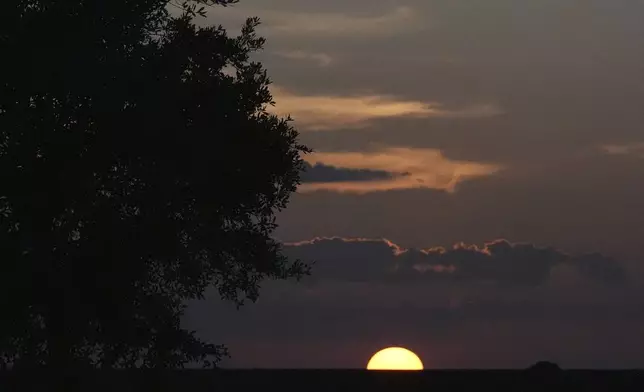 The sun sets in the Florida Everglades as hunters wait for dark to search for invasive Burmese pythons, Tuesday, Aug. 13, 2024, in the Florida Everglades. (AP Photo/Wilfredo Lee)