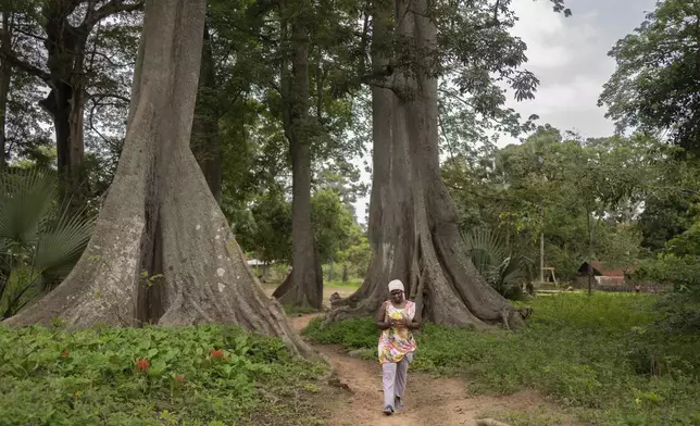 Coach Isabelle Sambou, 43 years old, two-time Olympian and nine-time African wrestling champion, walk past tall trees around her house in Mlomp, southern Senegal, Wednesday, July 10, 2024. (AP Photo/Sylvain Cherkaoui)