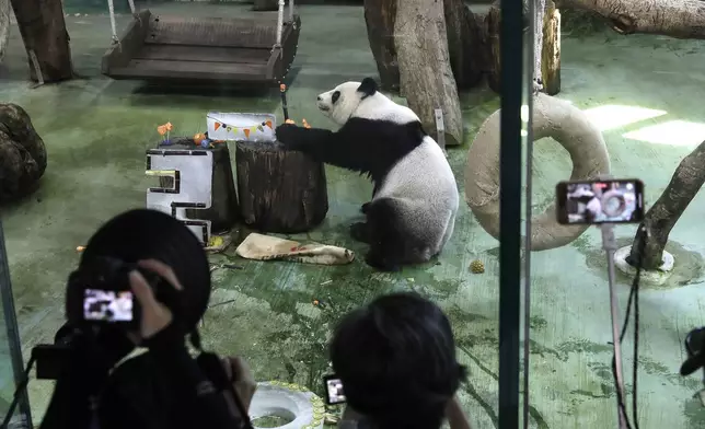 People take photos during Panda Yuanyuan''s 20-years-old birthday party at the Taipei Zoo in Taipei, Taiwan, Friday, Aug. 30, 2024. Yuanyuan was a gift from China to mark warming ties with Taiwan in 2008. (AP Photo/Chiang Ying-ying)