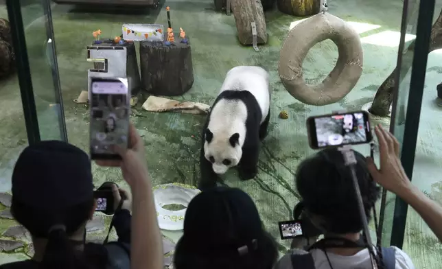 People take photos during Panda Yuanyuan''s 20-years-old birthday party at the Taipei Zoo in Taipei, Taiwan, Friday, Aug. 30, 2024. Yuanyuan was a gift from China to mark warming ties with Taiwan in 2008. (AP Photo/Chiang Ying-ying)