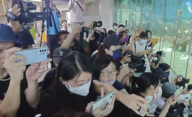 People take photos during Panda Yuanyuan''s 20-years-old birthday party at the Taipei Zoo in Taipei, Taiwan, Friday, Aug. 30, 2024. Yuanyuan was a gift from China to mark warming ties with Taiwan in 2008. (AP Photo/Chiang Ying-ying)