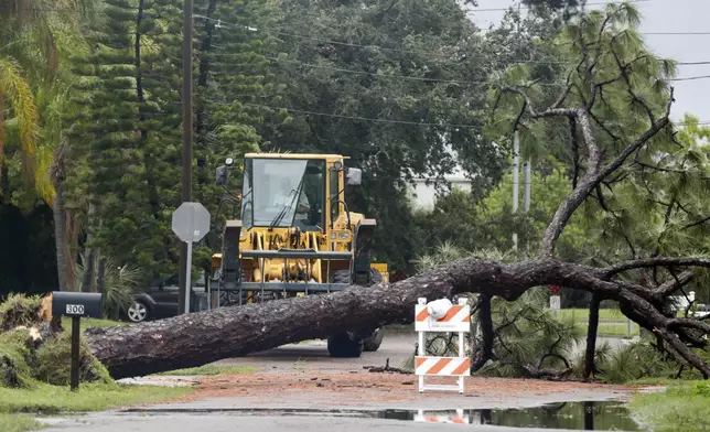 City workers prepare to haul and cut a tree that fell down near the intersection of Woodward Avenue and Dartmouth Avenue, Monday morning, Aug. 5, 2024, in Oldsmar Fla., as Hurricane Debby passed the Tampa Bay area offshore. (Jefferee Woo//Tampa Bay Times via AP)