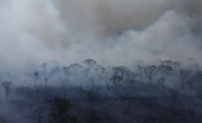 Smoke rises from fire in the environmentally protected area of Brasilia National Park during the dry season near Brasilia, Brazil, Monday, Sept. 16, 2024. The head of the agency that manages protected areas, Mauro Pires, told the local press that the fire is man-made and appears to have started near the edge of the presidency's official countryside residence. (AP Photo/Eraldo Peres)