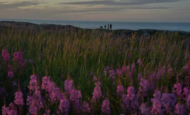 A family stands near the Hudson Bay, Saturday, Aug. 3, 2024, in Churchill, Manitoba. (AP Photo/Joshua A. Bickel)