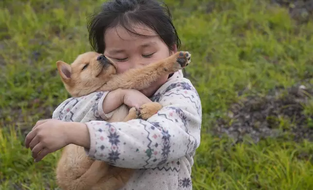 A girl plays with a dog on Friday, Aug. 16, 2024, in Mertarvik, Alaska. (AP Photo/Rick Bowmer)