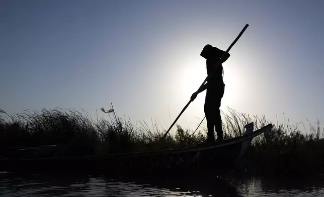 A fisherman is seen in his boat during low water levels at the Chibaish marshes in Nasiriyah, Iraq, Friday, Sept. 6. 2024. Deep within Iraq's celebrated marsh lands, conservationists are sounding alarm bells and issuing a stark warning: Without quick action, the UNESCO protected site could all but wither away. (AP Photo/Hadi Mizban)