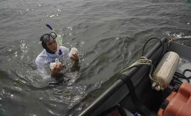 Biologist and filmmaker Ricardo Gomes collects trash in Guanabara Bay as part of World Cleanup Day activities, in Rio de Janeiro, Saturday, Sept. 21, 2024. (AP Photo/Hannah-Kathryn Valles)