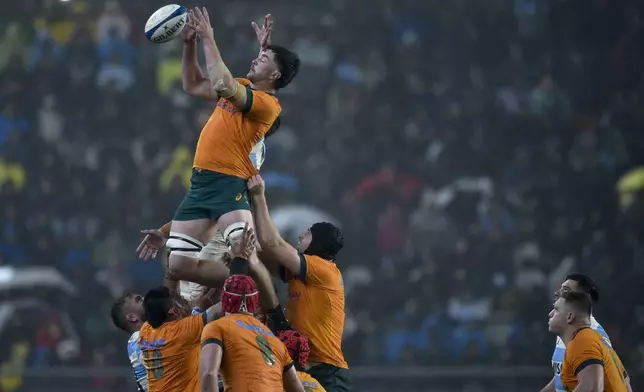 Australia's Jeremy Williams catches the ball during a rugby championship test match between Argentina and Australia in La Plata, Argentina, Saturday, Aug. 31, 2024. (AP Photo/Gustavo Garello)