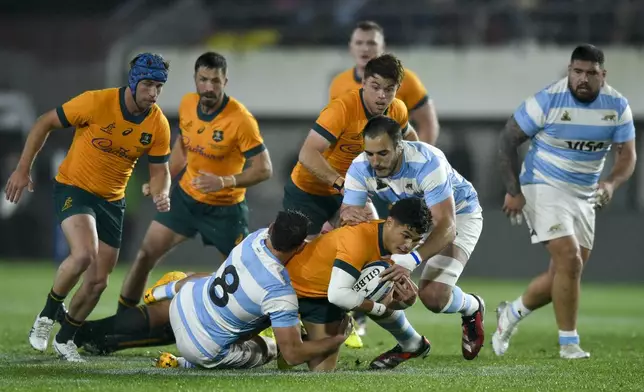 Australia's Noah Lolesio, center, is tackled Argentina's Los Pumas Juan Martin Gonzalez, 8, and JFranco Molina, right center, during a rugby championship test match in La Plata, Argentina, Saturday, Aug. 31, 2024. (AP Photo/Gustavo Garello)