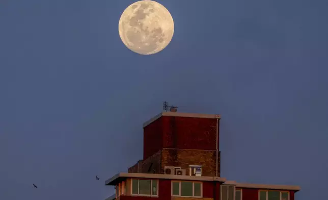 The moon rises above a Sydney apartment tower in Sydney, Australia, Tuesday, Sept. 17, 2024. (AP Photo/Mark Baker)