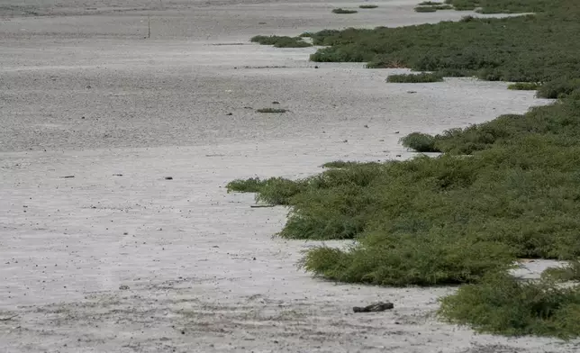 The dried out Rusanda salty lake whose mud is used in medical therapy, near Melenci, Serbia, Wednesday, Sept. 4, 2024. Experts say the summer of 2024 in the Balkans was the hottest since measurements started more than 130 years ago. (AP Photo/Darko Vojinovic)