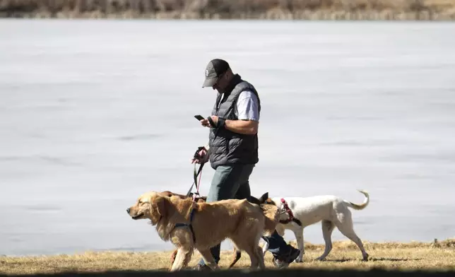 FILE - A dog walker checks a mobile device while guiding dogs in Washington Park in Denver on Feb. 21, 2023. (AP Photo/David Zalubowski, File)