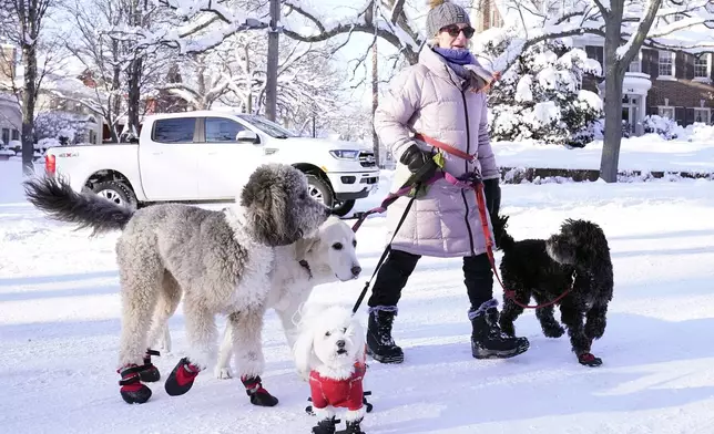 FILE - A dog walker walks with her dogs near Lake of the Isles in Minneapolis on Dec. 22, 2022. (AP Photo/Abbie Parr, File)