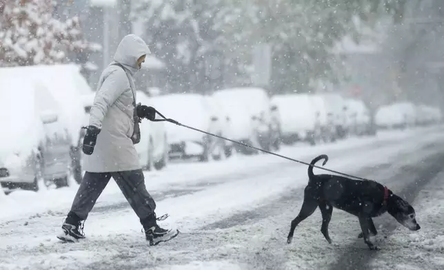 FILE - A woman walks a dog across the street in Denver on Oct. 29, 2023. (AP Photo/David Zalubowski, File)