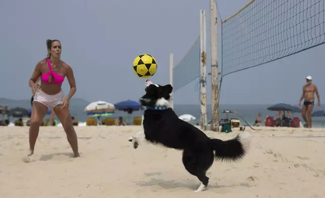 The border collie named Floki and athlete Natalia Guitler play footvolley, a combination of soccer and volleyball, on Leblon beach in Rio de Janeiro, Sunday, Sept. 8, 2024. (AP Photo/Bruna Prado)