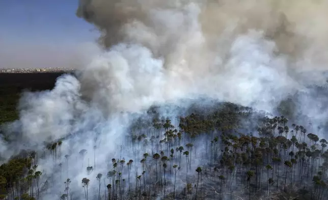 Smoke rises as fires spread through the Brasilia National Forest, Brazil, in the middle of the dry season, Tuesday, Sept. 3, 2024. (AP Photo/Eraldo Peres)