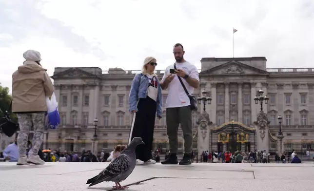 A pigeon walks amongst tourists who are visiting Buckingham Palace in London, Tuesday, Sept. 10, 2024. Kate, Princess of Wales announced Monday that she has completed chemotherapy treatment for cancer and plans to return to some public duties. (AP Photo/Alberto Pezzali)