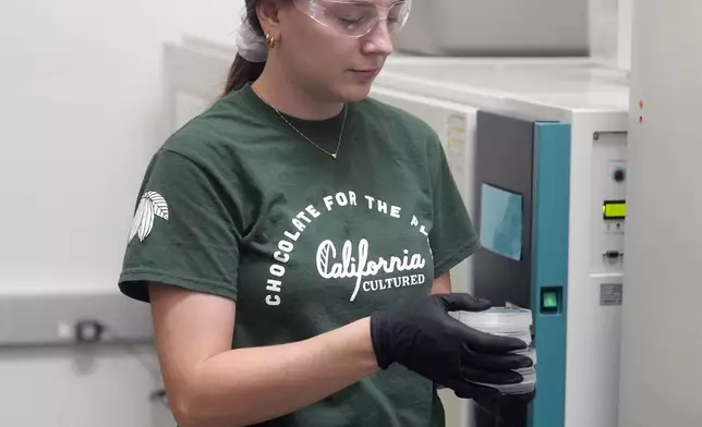 California Cultured lab technician Aubrey McKeand works on cell cultures in the company's lab in West Sacramento, Calif., Wednesday, Aug. 28, 2024. (AP Photo/Jeff Chiu)