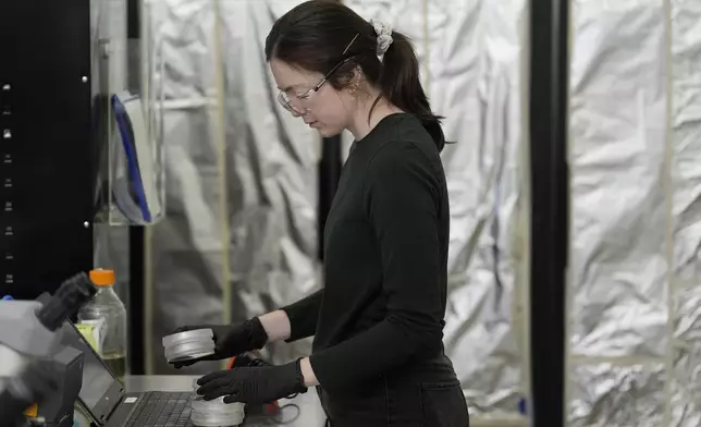 California Cultured Erika Cavanaugh collects biological materials from cell lines for experimentation and production at the company's lab in West Sacramento, Calif., Wednesday, Aug. 28, 2024. (AP Photo/Jeff Chiu)