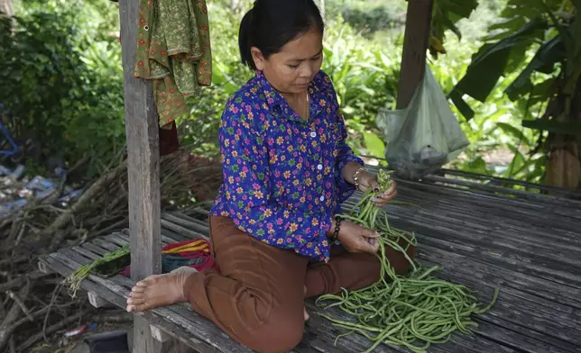 Norng La, a villager who lives along the Funan Techo Canal, prepares vegetable for her dinner at her home at Prek Takeo village, eastern Phnom Penh Cambodia, Tuesday, July 30, 2024. (AP Photo/Heng Sinith)