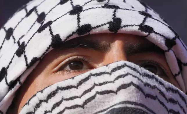 A Club Palestino fan wears a keffiyeh during a local league soccer match against Santiago Wanderers at La Cisterna stadium in Santiago, Chile, Friday, July 12, 2024. (AP Photo/Matias Basualdo)