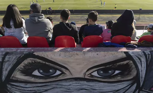 Club Palestino soccer team fans watch their team play Santiago Wanderers at a local league match at La Cisterna stadium in Santiago, Chile, Friday, July 12, 2024. (AP Photo/Matias Basualdo)