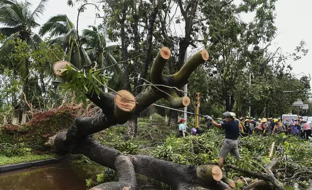 In this photo released by Xinhua News Agency, workers remove fallen tree branches along a street in the aftermath of Typhoon Yagi in Haikou, south China's Hainan Province, Saturday, Sept. 7, 2024. (Yang Guanyu/Xinhua via AP)