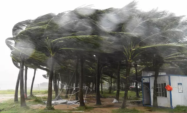 In this photo released by Xinhua News Agency, coconut trees hit by typhoon Yagi along a road in Haikou, south China's Hainan Province, Friday, Sept. 6, 2024. (Yang Guanyu/Xinhua via AP)