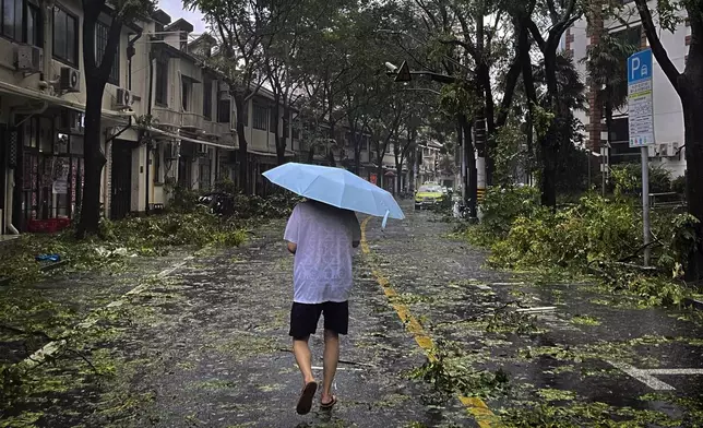 A man carrying an umbrella walks by fallen tree branches along a street in the aftermath of Typhoon Bebinca in Shanghai, China, Monday, Sept. 16, 2024. (Chinatopix Via AP)