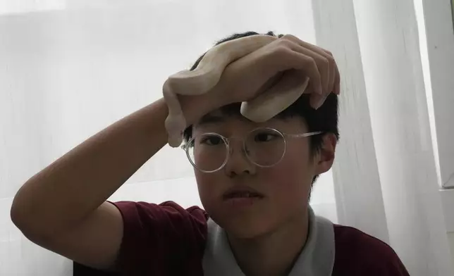 Rodney Feng plays with his pet, an albino ball python called Banana, in Chiang Mai province, Thailand, Tuesday, April 23, 2024. (AP Photo/Sakchai Lalit)