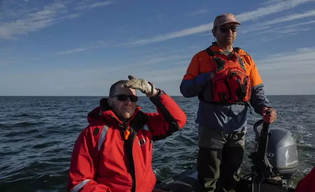 Geoff York, left, director of research at Polar Bears International, and Kieran McIver, right, manager of field operations, look for polar bears along the shoreline of the Hudson Bay, Sunday, Aug. 4, 2024, near Churchill, Manitoba. (AP Photo/Joshua A. Bickel)