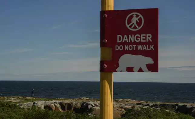 A young man watches for potential polar bears while walking near the Hudson Bay, Saturday, Aug. 3, 2024, in Churchill, Manitoba. (AP Photo/Joshua A. Bickel)