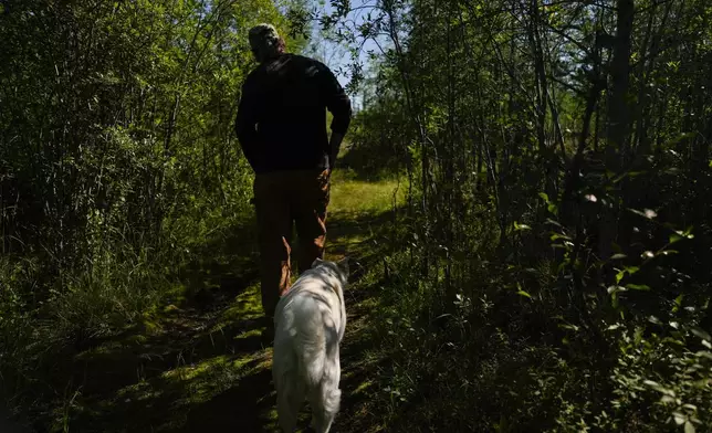 Dave Daley, a member of the Metis Nation, walks through his property, Thursday, Aug. 8, 2024, in Churchill, Manitoba. (AP Photo/Joshua A. Bickel)