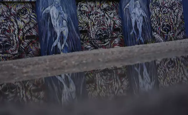 Water reflects a mural featuring polar bears and beluga whales, Monday, Aug. 5, 2024, in Churchill, Manitoba. (AP Photo/Joshua A. Bickel)