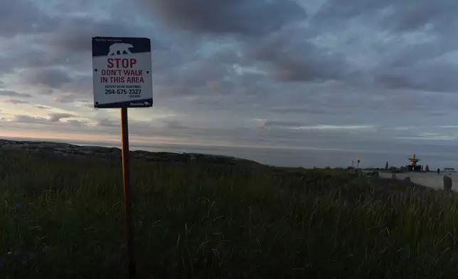 A sign alerts people to the potential presence of polar bears near a beach along the Hudson Bay, Sunday, Aug. 4, 2024, in Churchill, Manitoba. (AP Photo/Joshua A. Bickel)