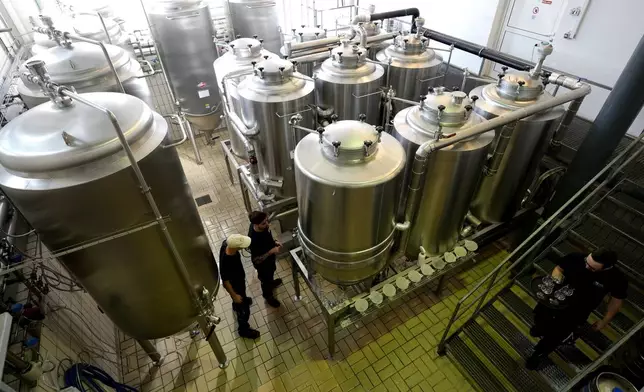 Employees of the Technical University of Munich work at the brewery plant in Freising, Germany, Thursday, Sept. 19, 2024. (AP Photo/Matthias Schrader)