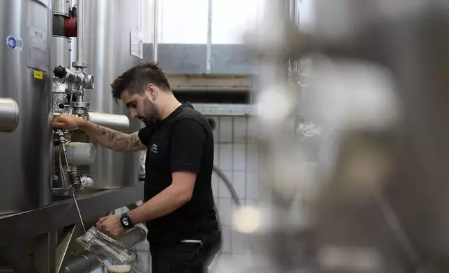 An employee of the Technical University of Munich fills beer in the brewery in Freising, Germany, Thursday, Sept. 19, 2024. (AP Photo/Matthias Schrader)