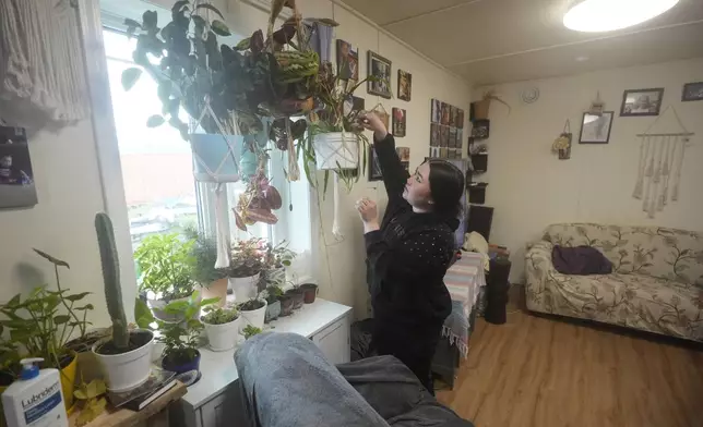 Ashley Tom tends to her plants at her home in Mertarvik, Alaska, Thursday, Aug. 15, 2024. (AP Photo/Rick Bowmer)