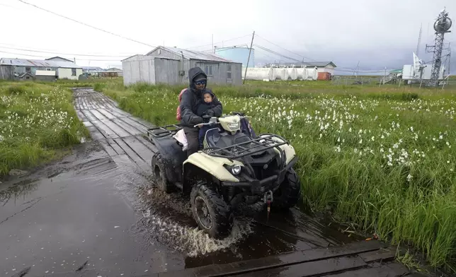 A resident drives along a flooded boardwalk on Wednesday, Aug. 14, 2024, in Newtok, Alaska. (AP Photo/Rick Bowmer)