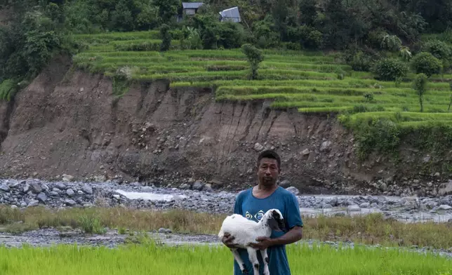 Sukuram Tamang, 50, stands with his goat in front of where his house once stood after it was damaged by recent landslides in Melamchi, northeast of Kathmandu, Nepal, on Saturday, Sept. 14, 2024. (AP Photo/Niranjan Shrestha)