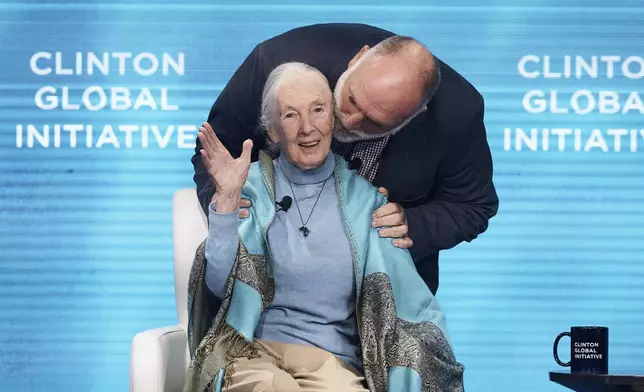 Chef Jose Andres, top, kisses English primatologist and anthropologist, Jane Goodall, bottom, during the Clinton Global Initiative, on Tuesday, Sept. 24, 2024, in New York. (AP Photo/Andres Kudacki)